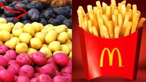 Como fazer batata frita rapido e facil