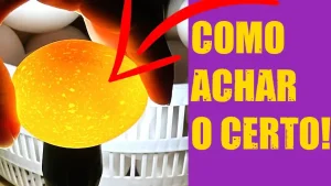 Como saber se o ovo esta bom ou ruim receitas da internet