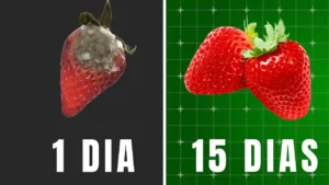 Como fazer o morango durar por 2 semanas